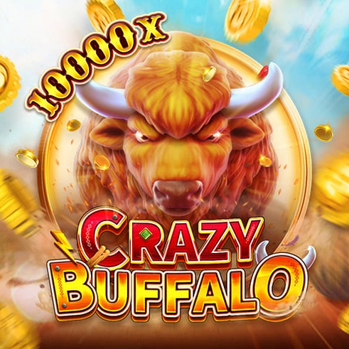 CRAZY BUFFALO